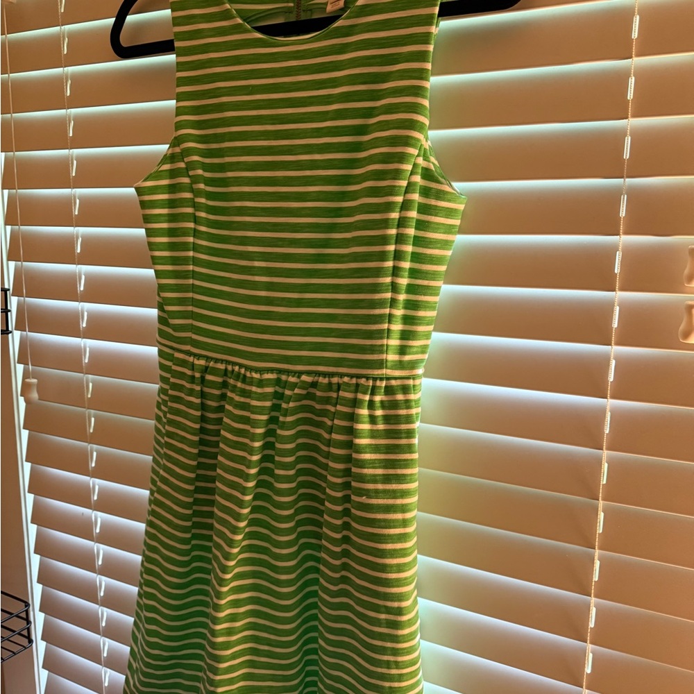 J. Crew Factory Green and Blue A-Line Pleated Dress